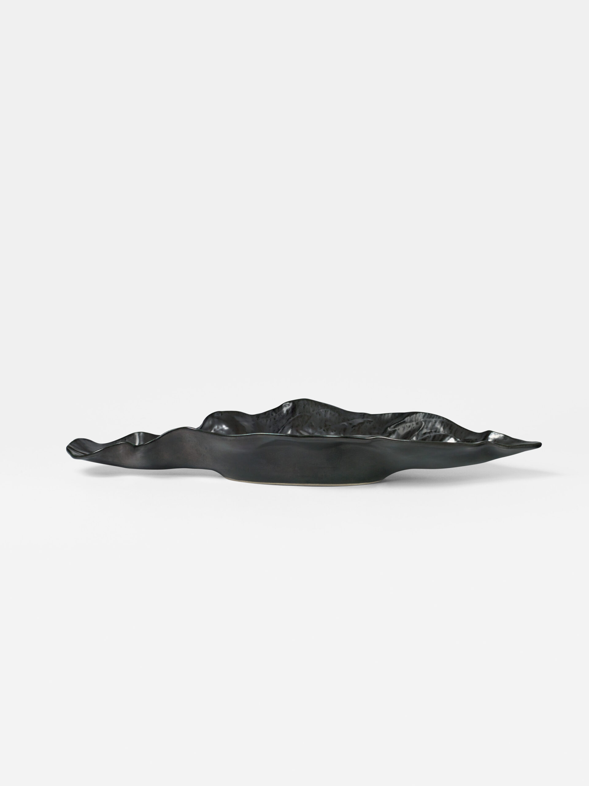 CHAMBOST_COUPE_FEUILLE_22_NOIR_FACE