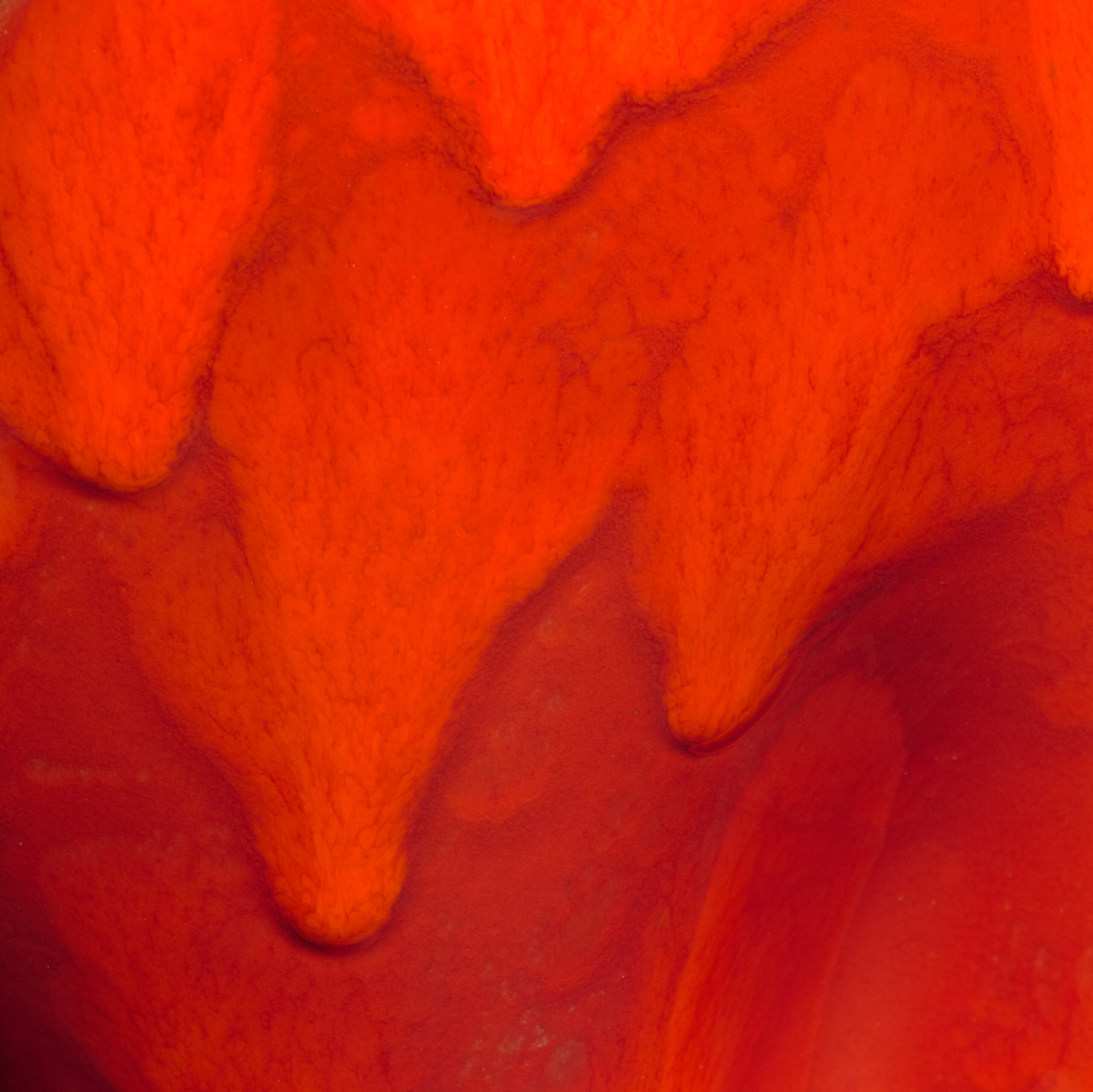 Stacked from 4 images. Method=C (S=8)
