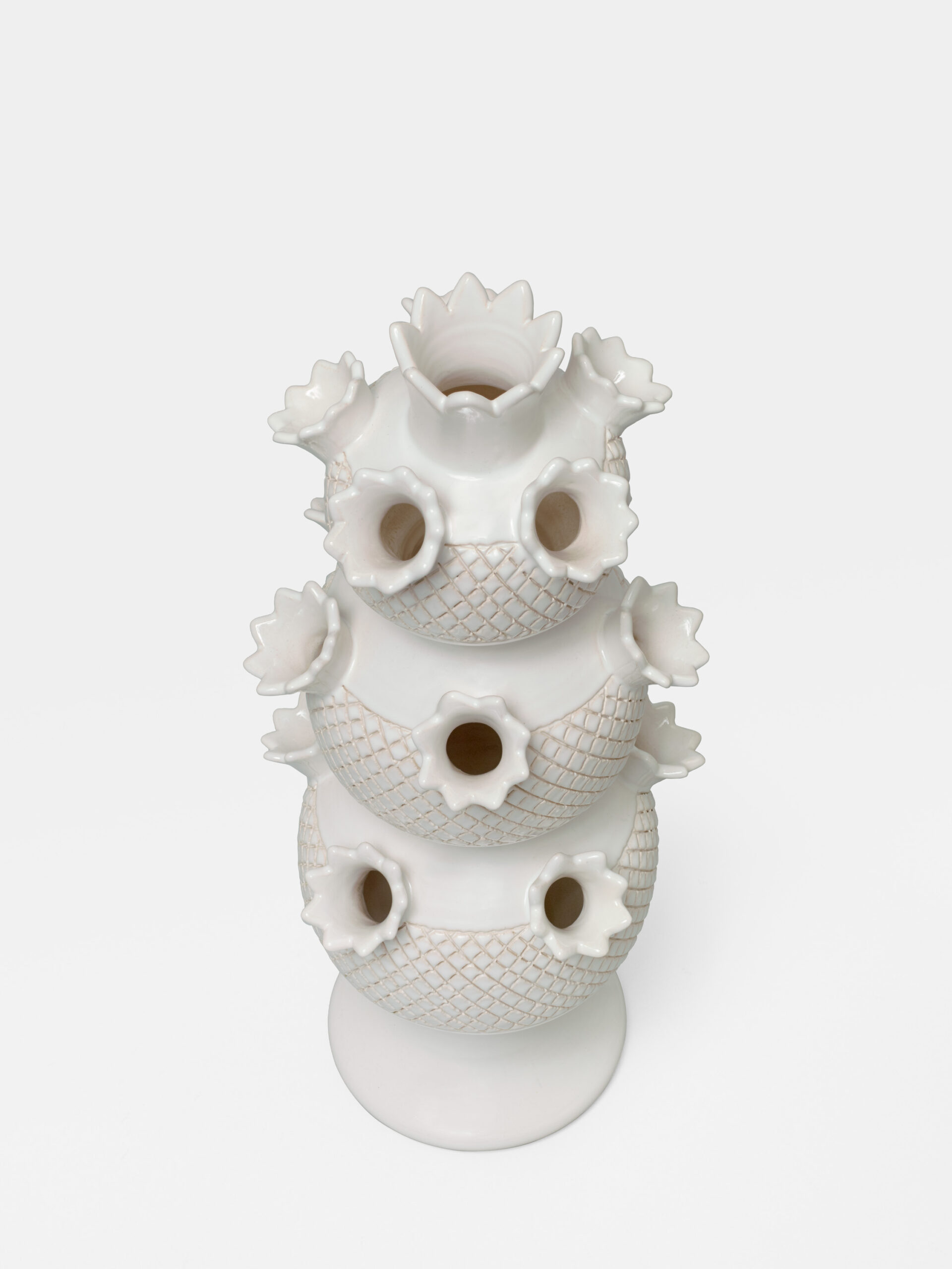 Stacked from 4 images. Method=C (S=8)