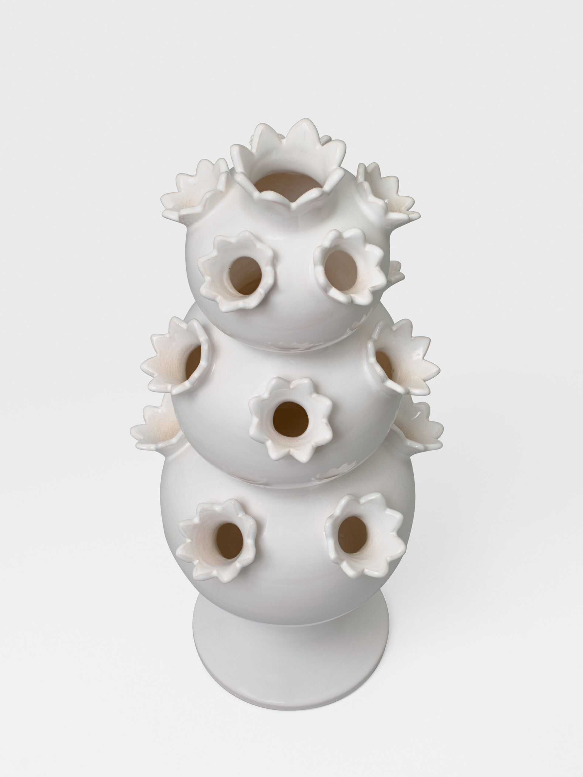 Stacked from 7 images. Method=C (S=8)