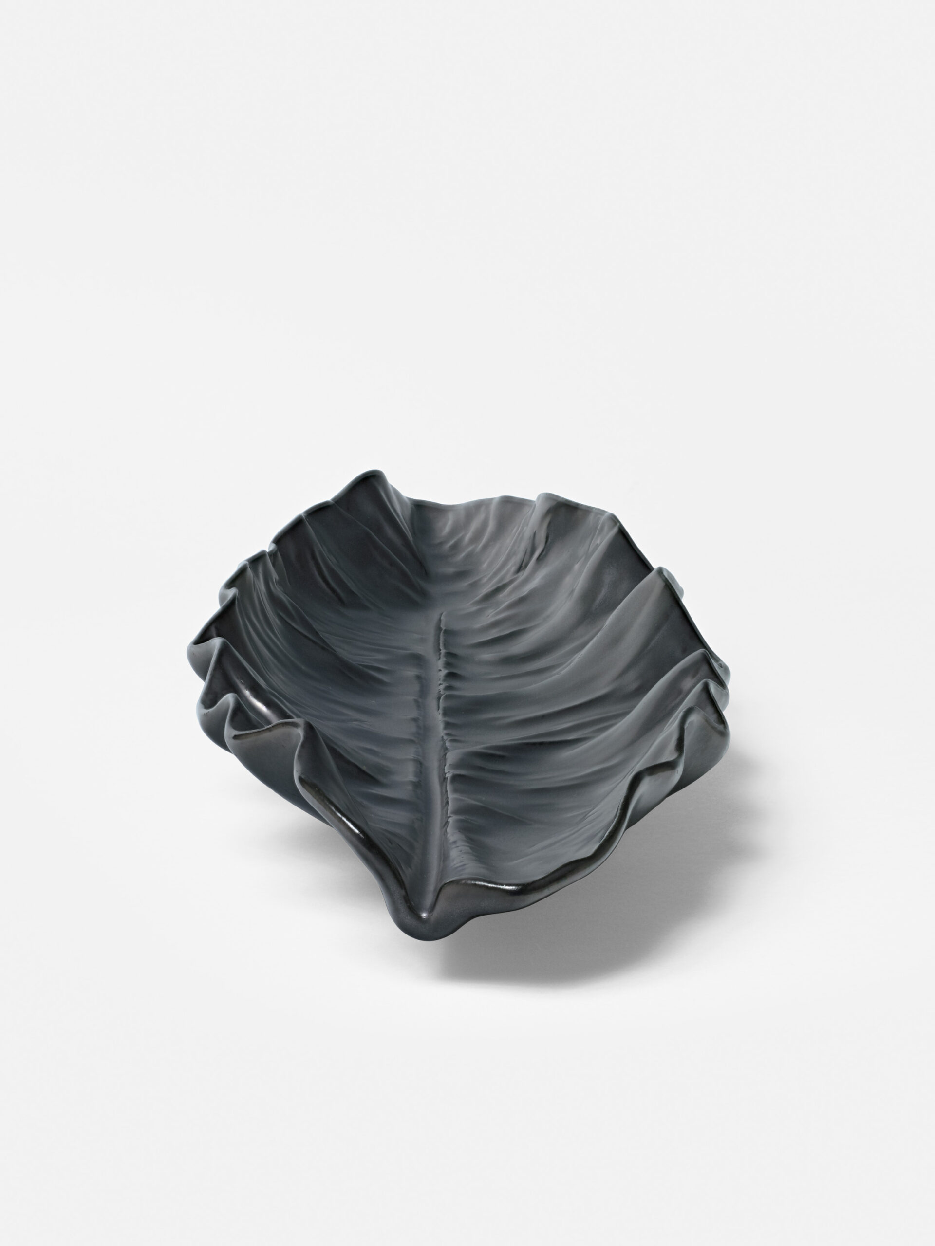 Stacked from 6 images. Method=C (S=8)