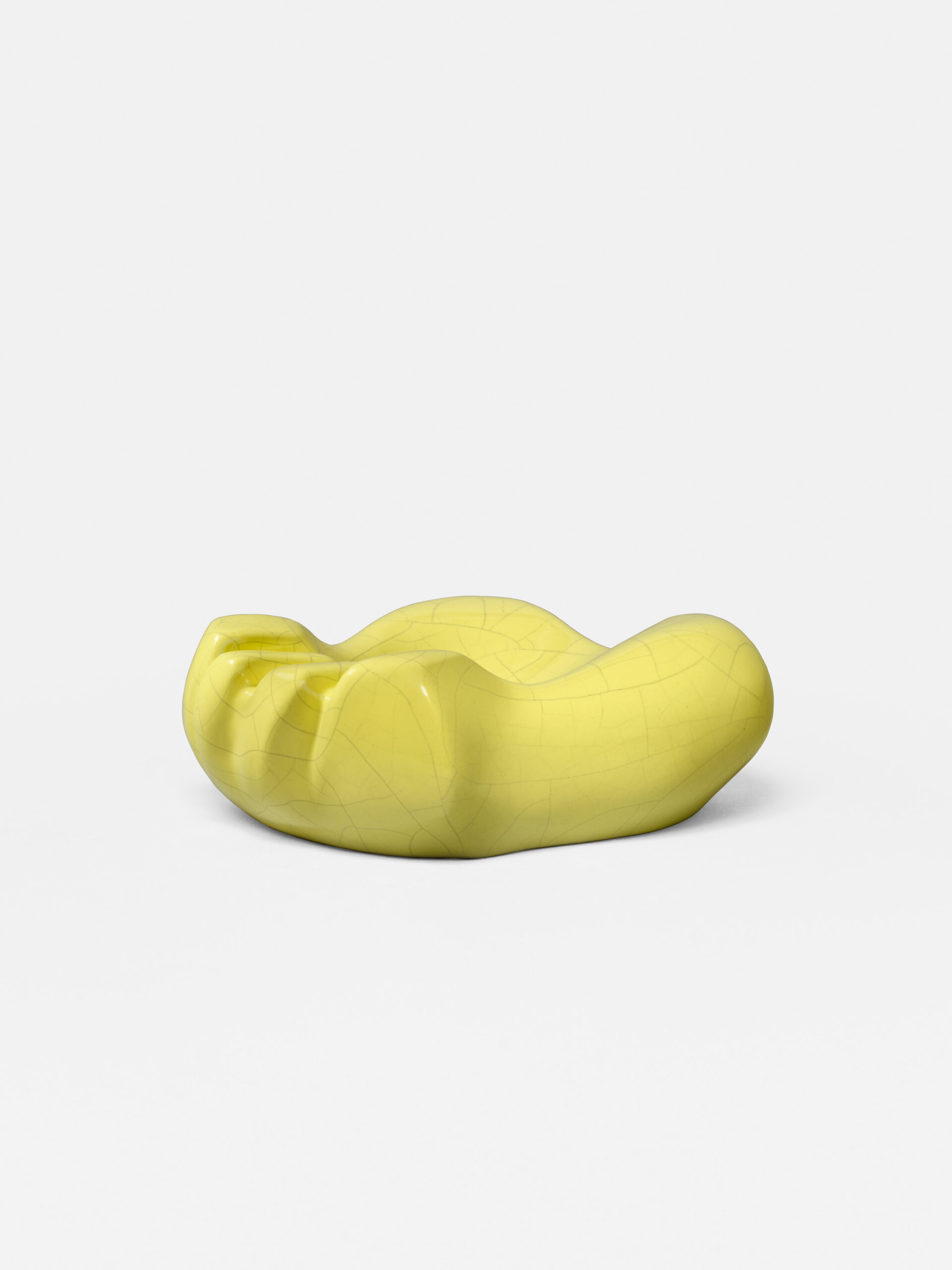 JOUVE_PATTE_OURS_JAUNE_CRAQ_3_PROF