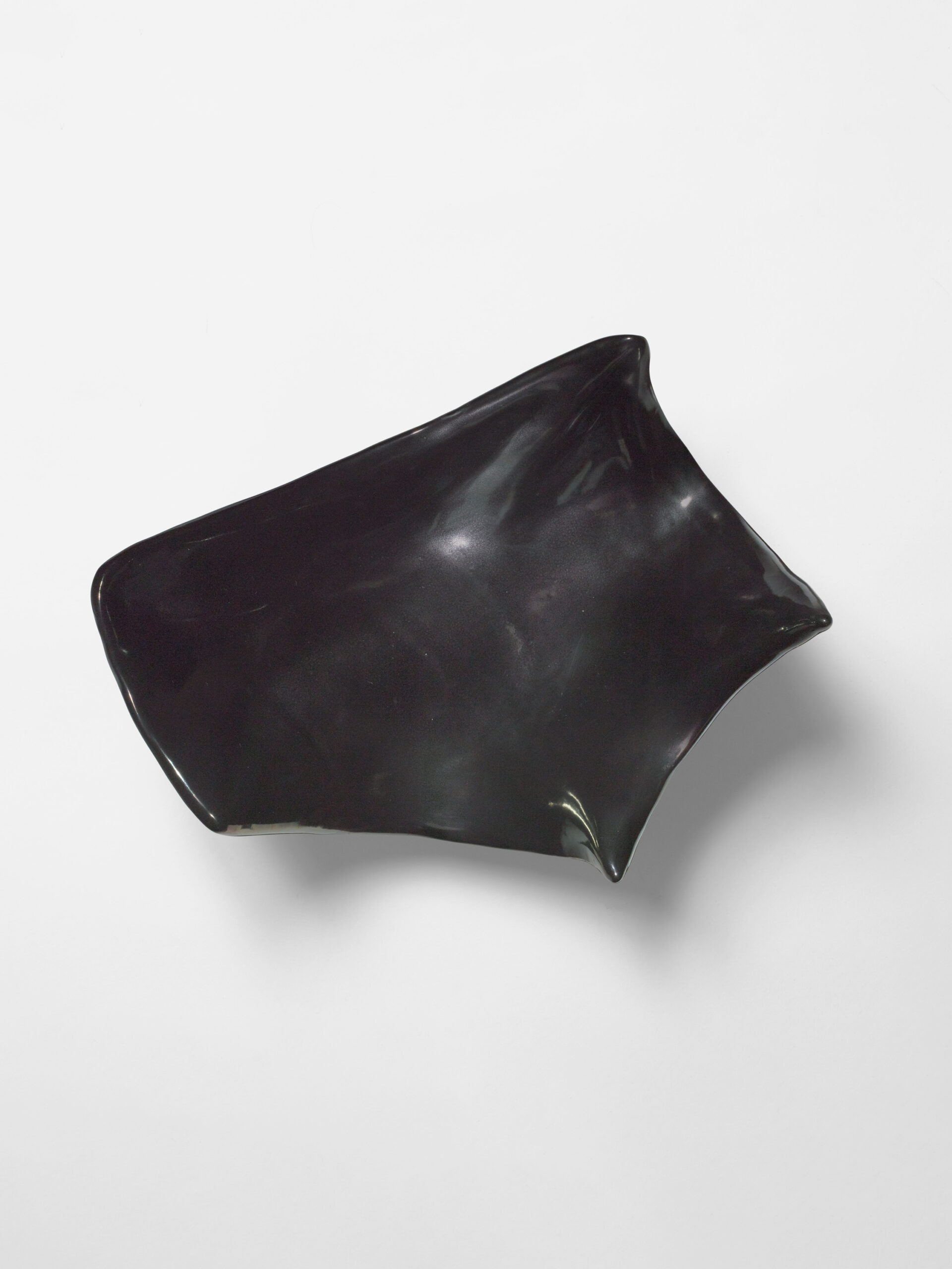 CAPRON_COUPE_CHAUVE_SOURIS_NOIR_2_DESSUS